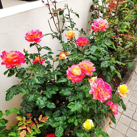 La Orquidea Apartment เบกา เด ซานมาเตโอ ภายนอก รูปภาพ