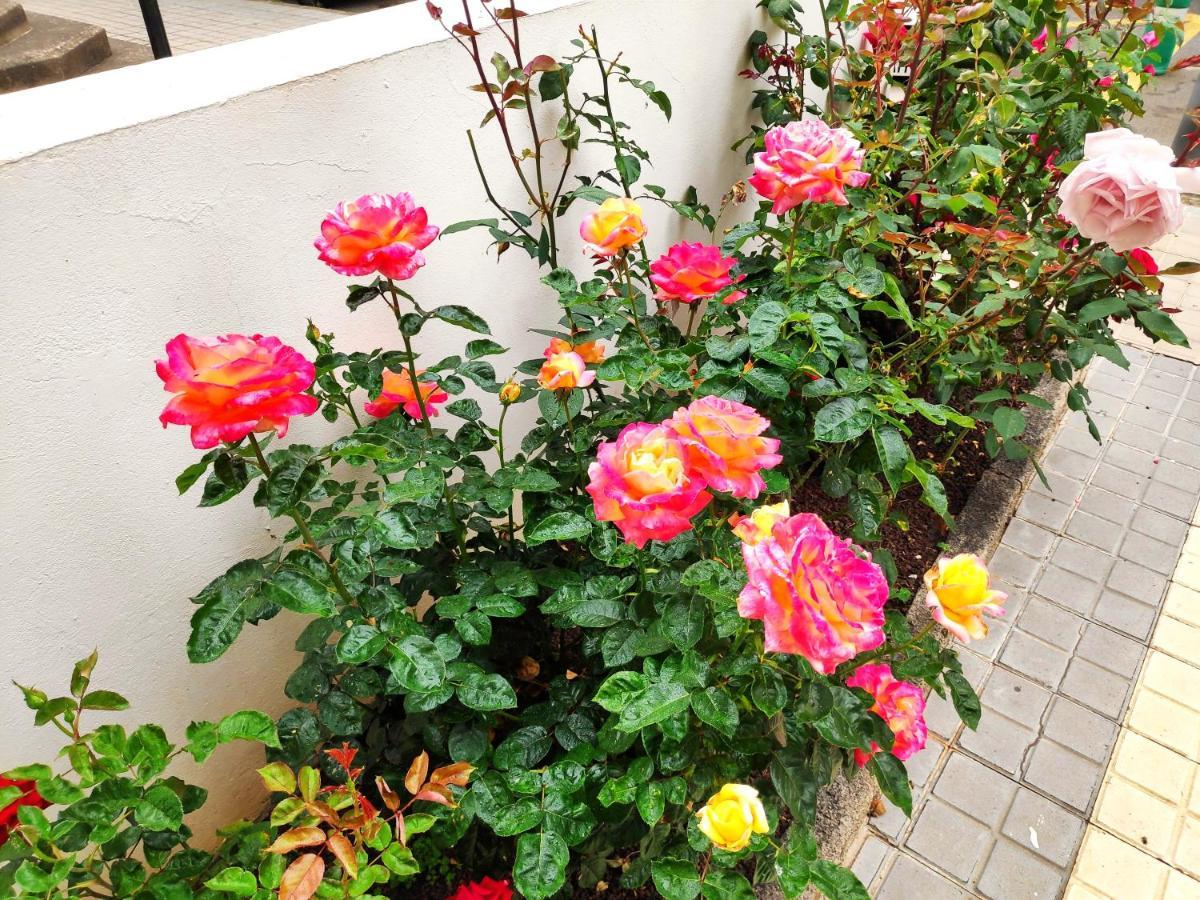 La Orquidea Apartment เบกา เด ซานมาเตโอ ภายนอก รูปภาพ