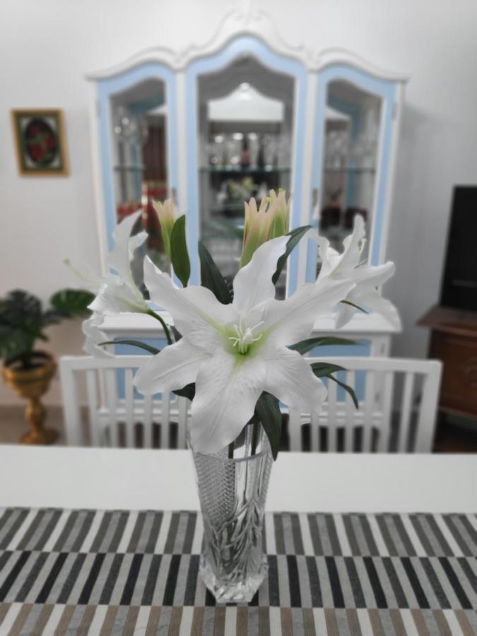 La Orquidea Apartment เบกา เด ซานมาเตโอ ภายนอก รูปภาพ